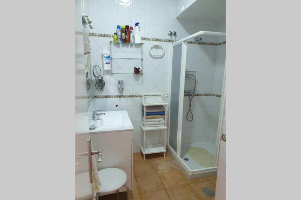 Carihuela Park Palace Apartment *