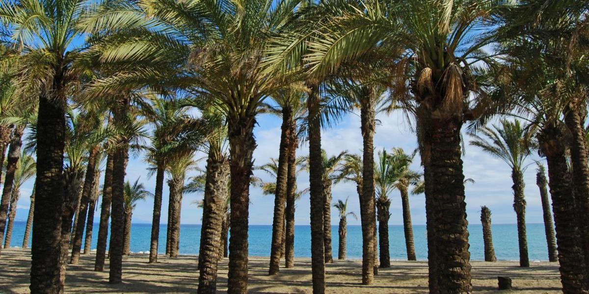 Apartamento Carole Playa Bajondillo Beach - Playa A 30 Segundos - Wifi - Parking - Terraza Apartamento
