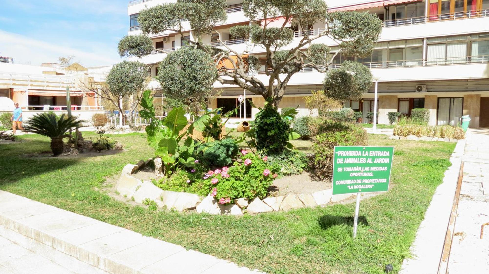 Nogalera Sun&fun Select Apartment *