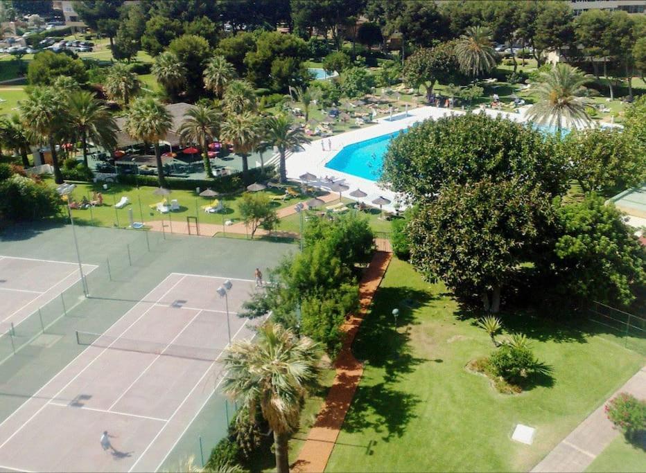 Apartment Primera Linea Playa