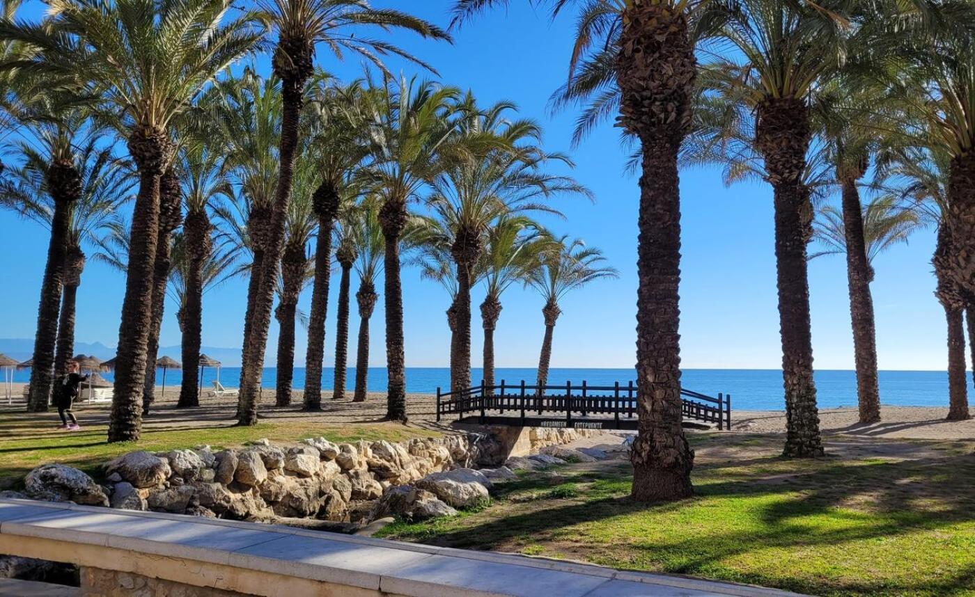 Olsen Torremolinos