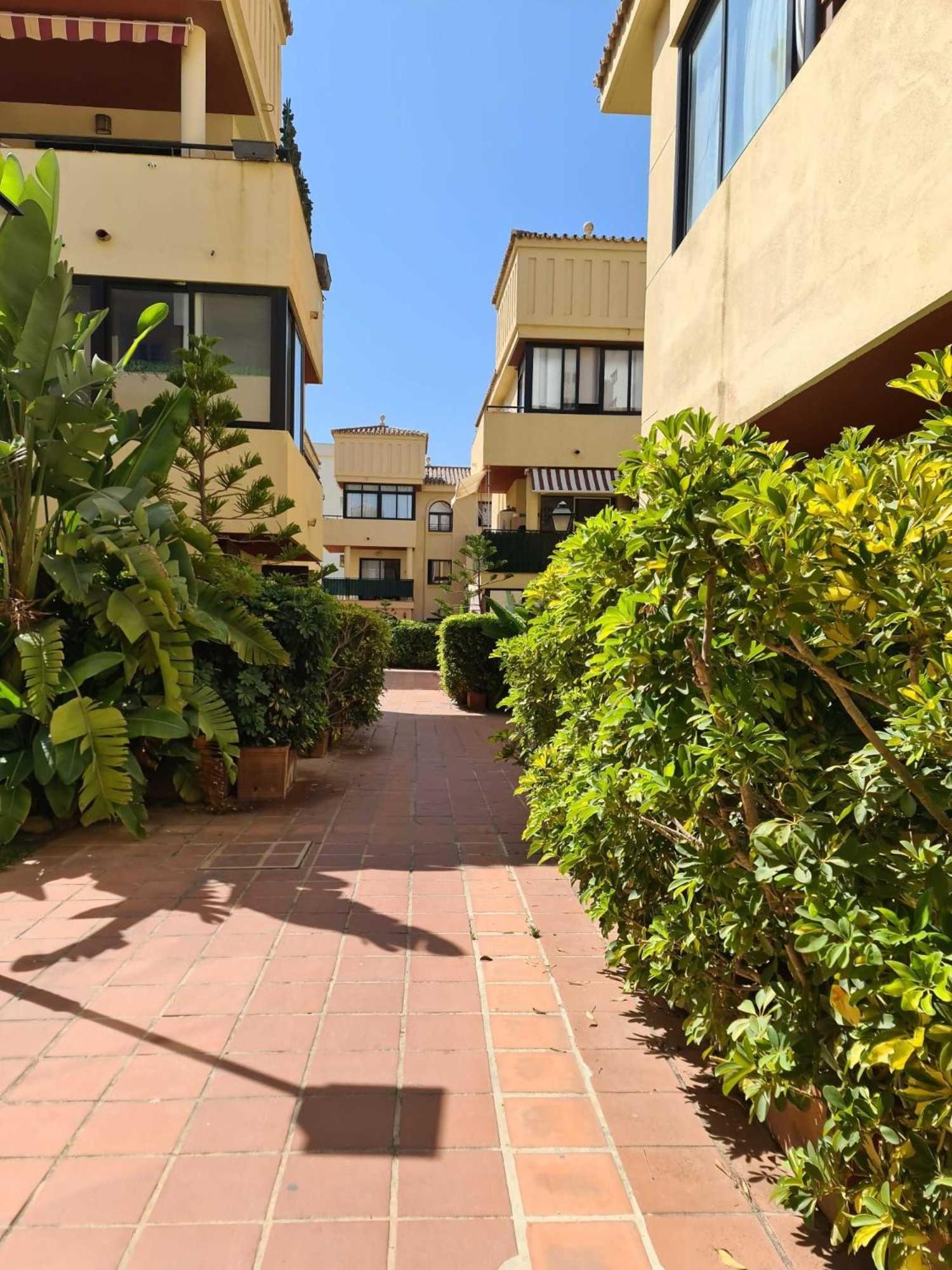 Apartment Beach Pontinental