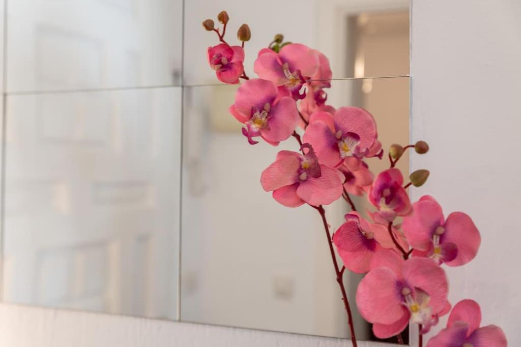 Apartamento Lxr Puebloblanco 2hab Cerca Del Mar