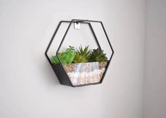 Aloe Studio