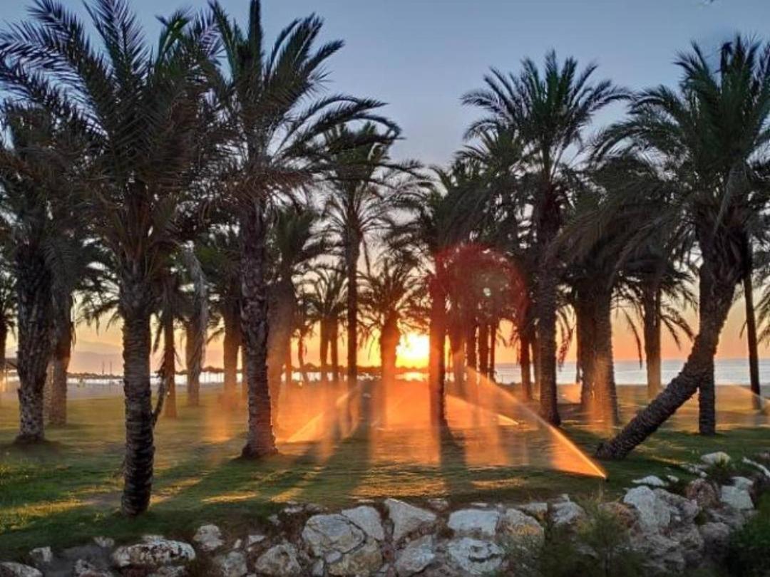 Apartamento Estudio En Playamar