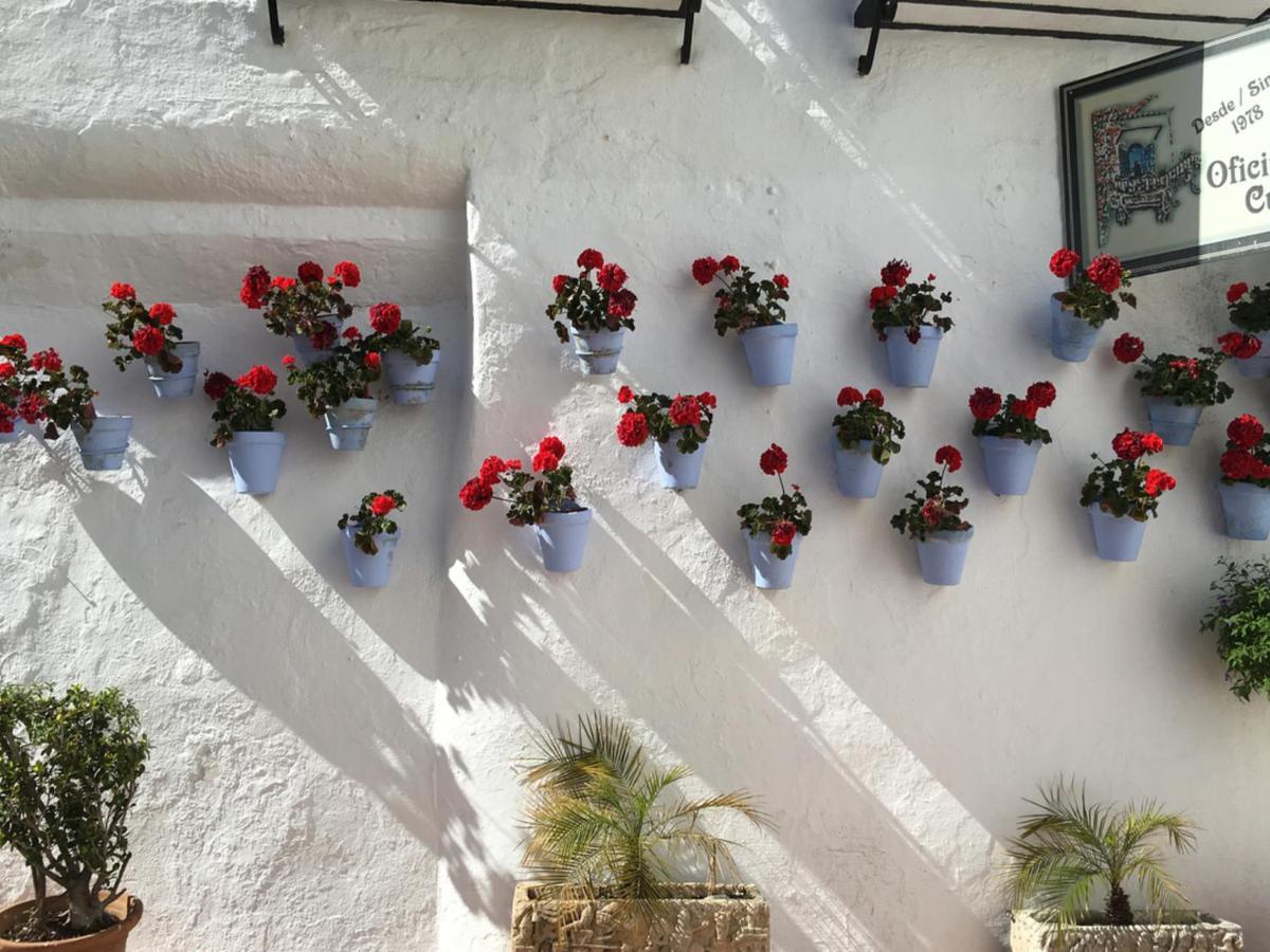Apartment Paris Dream - Torremolinos