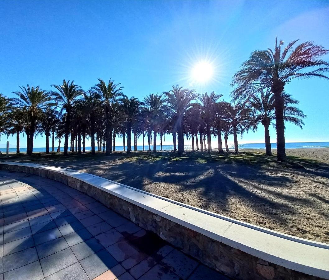 Apartment Solymar