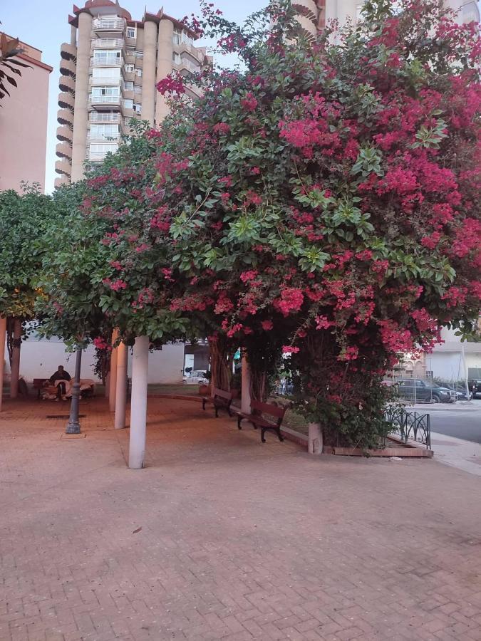 Apartamento Rio Algas, Nuevo Apartment Torremolinos