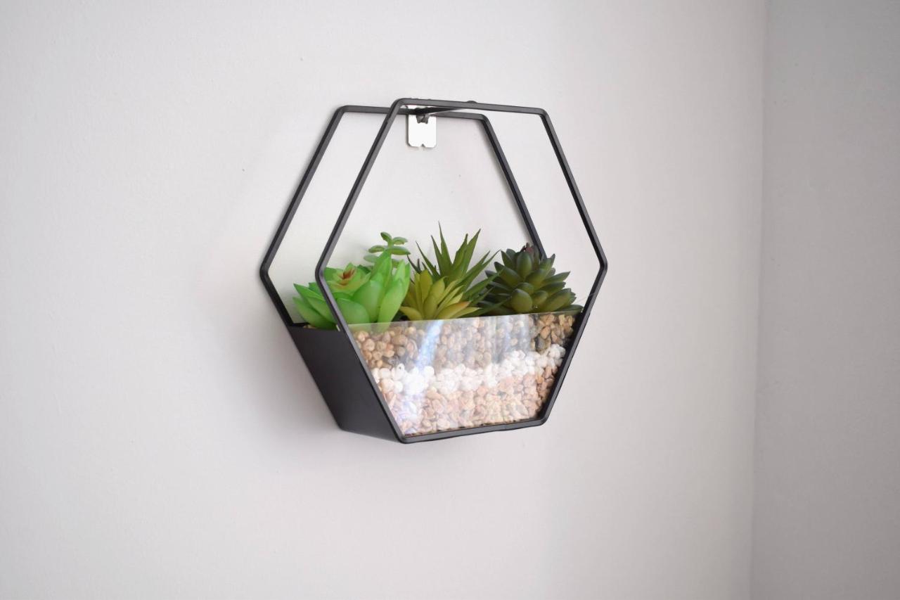 Aloe Studio *