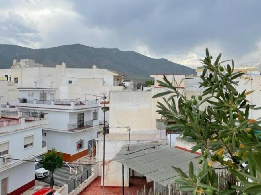 Sol Radiante Attic Studio, Designer-style Studio With Top-tier Amenities Apartamento Torremolinos