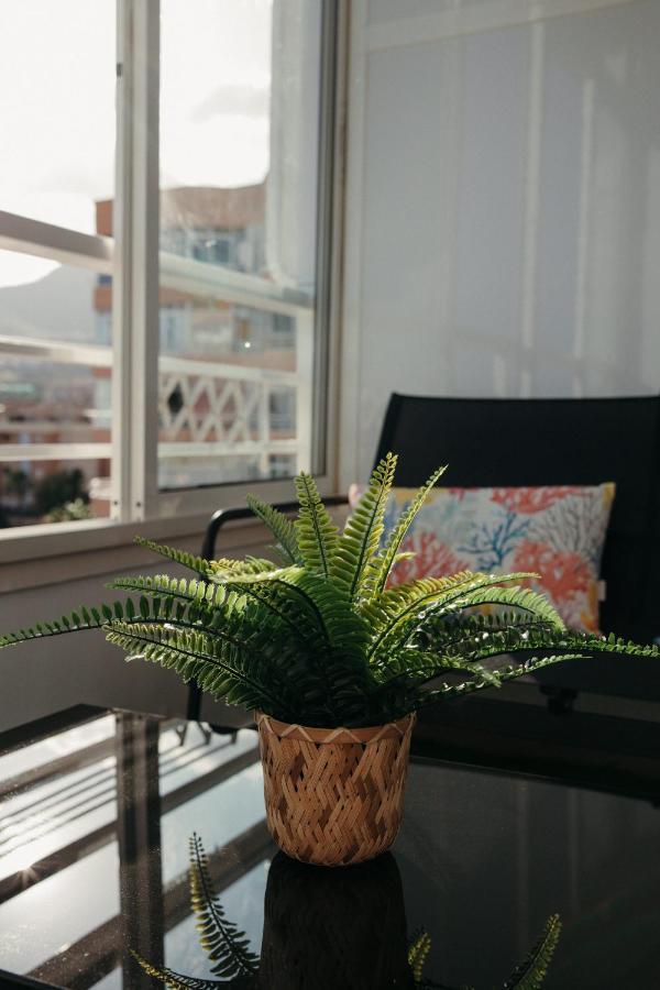 Apartment Saltillo Alto Sunset Balcony *