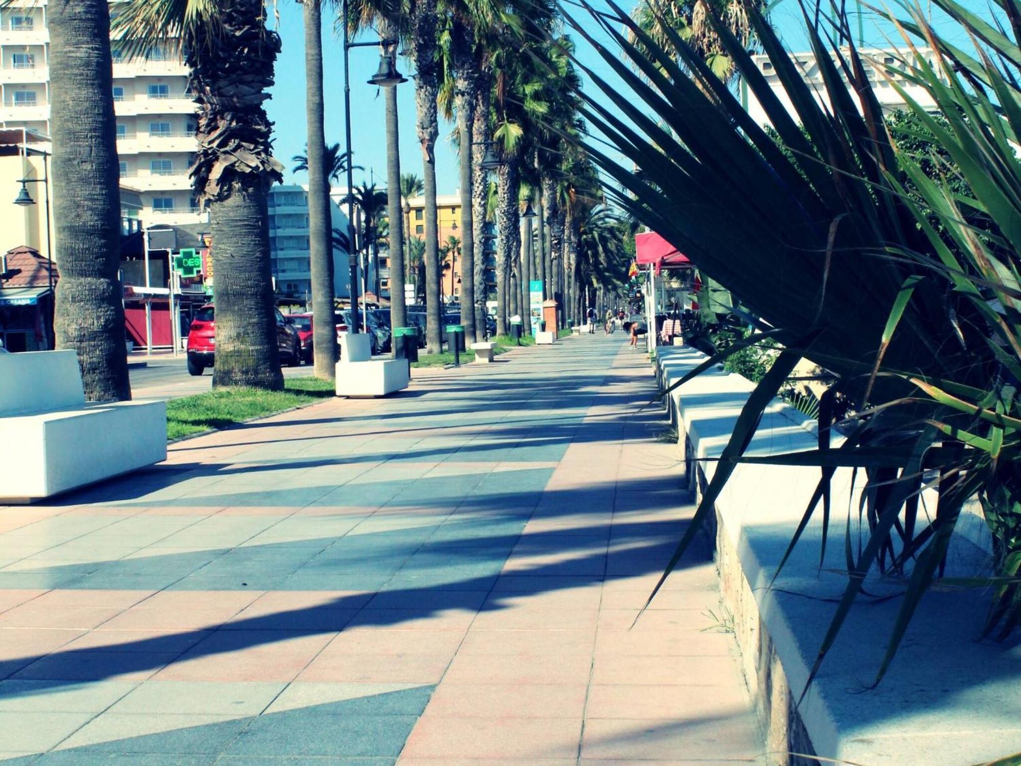 Apartamento Espléndido A Pie De Playa En *
