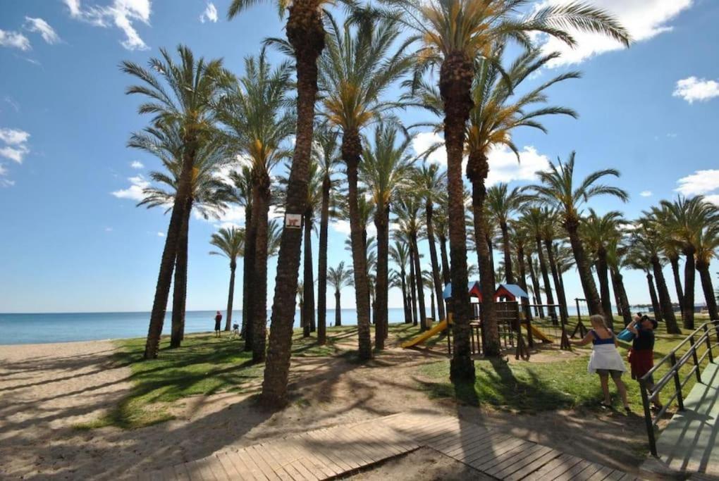 Dalias Torremolinos