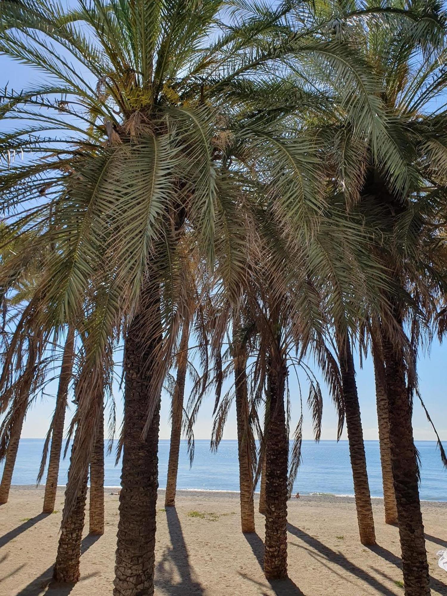 Apartamento Bonito Estudio Carihuela Con Terraza, Wifi, Playa A 150 Metros Torremolinos