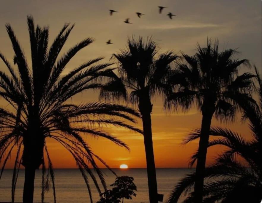 Apartamento Bonito Estudio Carihuela Con Terraza, Wifi, Playa A 150 Metros