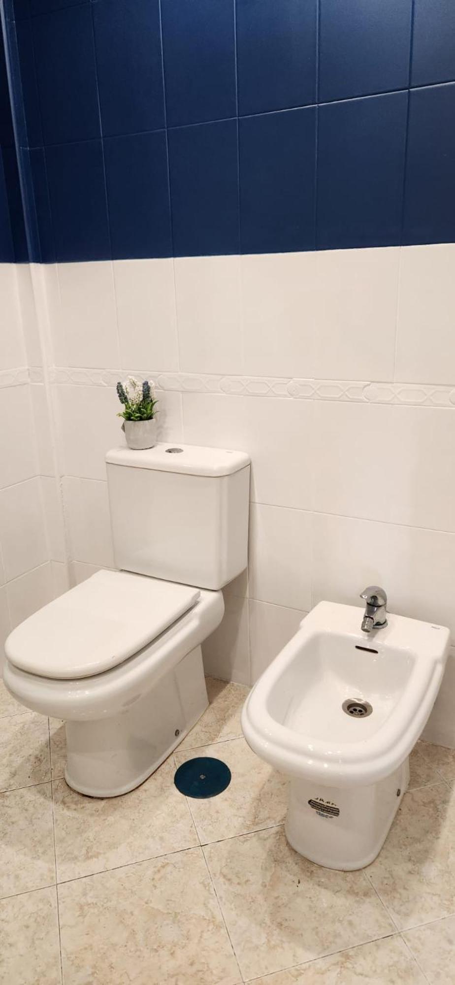 Apartment The Oasis