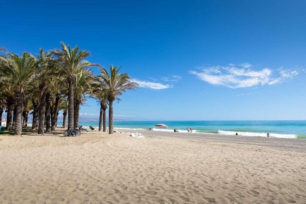 Occidental Playa *
