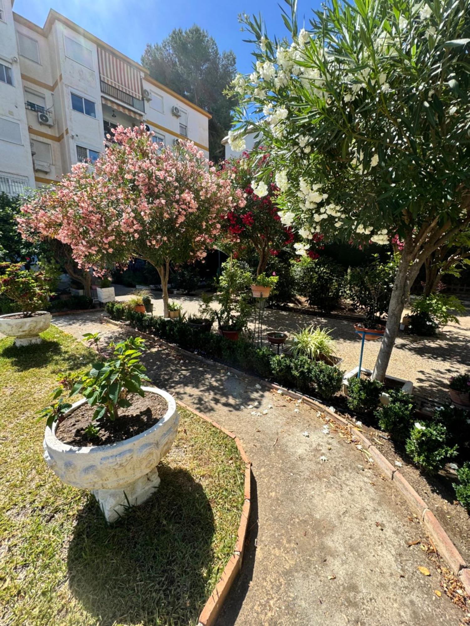 Hdfm Centro * Torremolinos