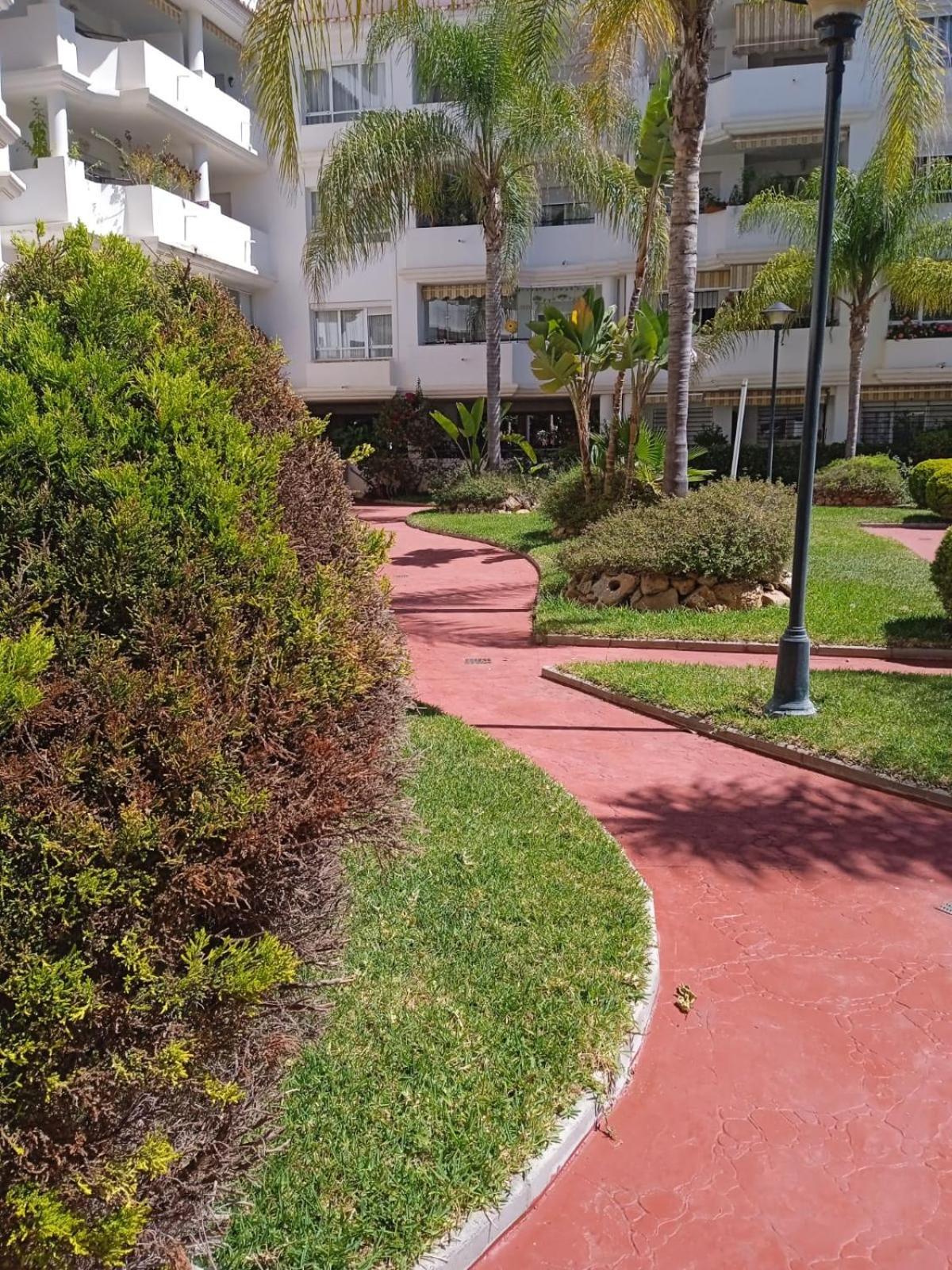 Nidos Carihuela
