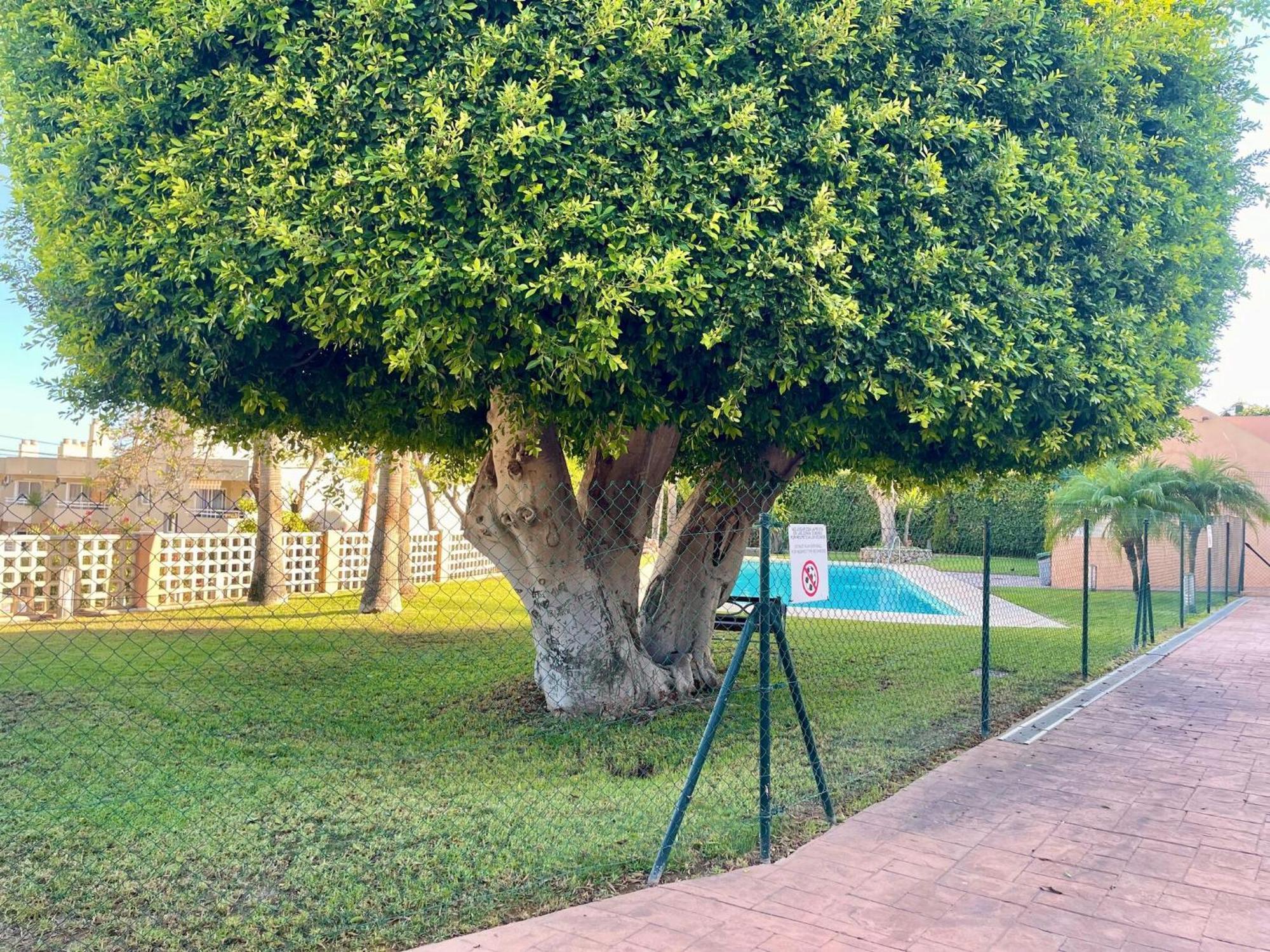 In Near Seabeach Apartment Torremolinos