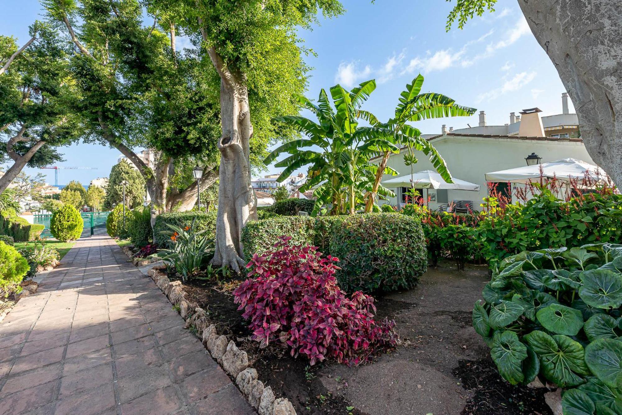 Carihuela With Pool And Free Parking 5 M *