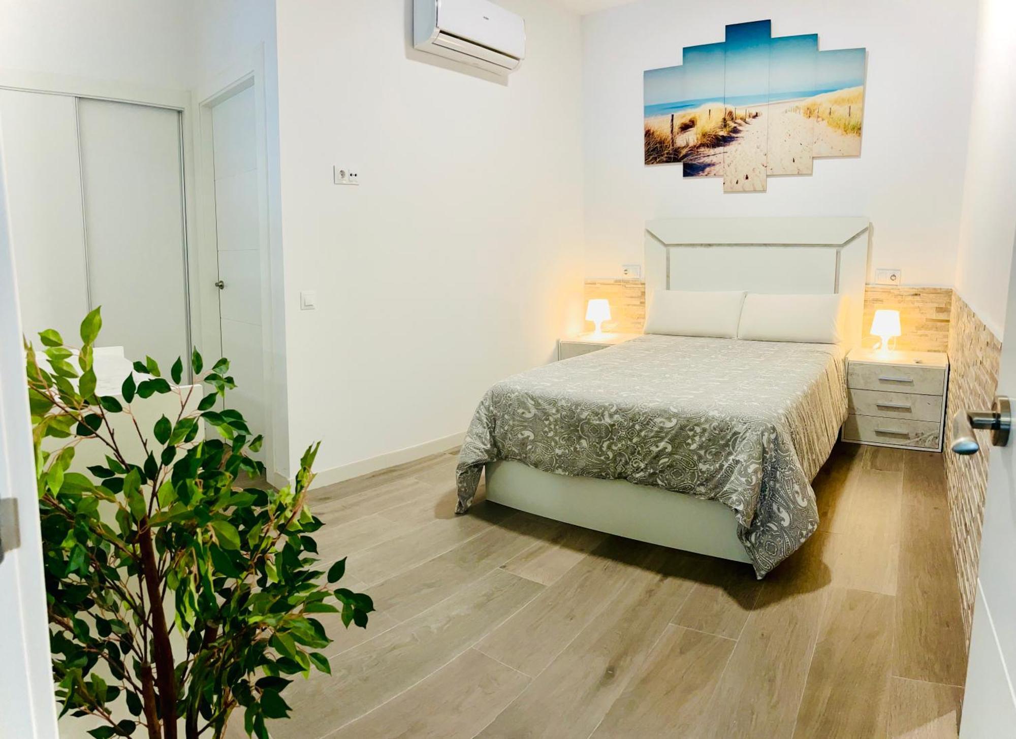 Luxury Carihuela Apartment