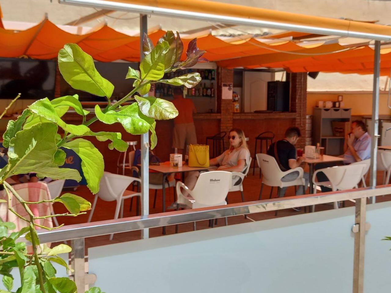 Apartment Cozy Palmeras - Wifi, Ac, Pool Torremolinos
