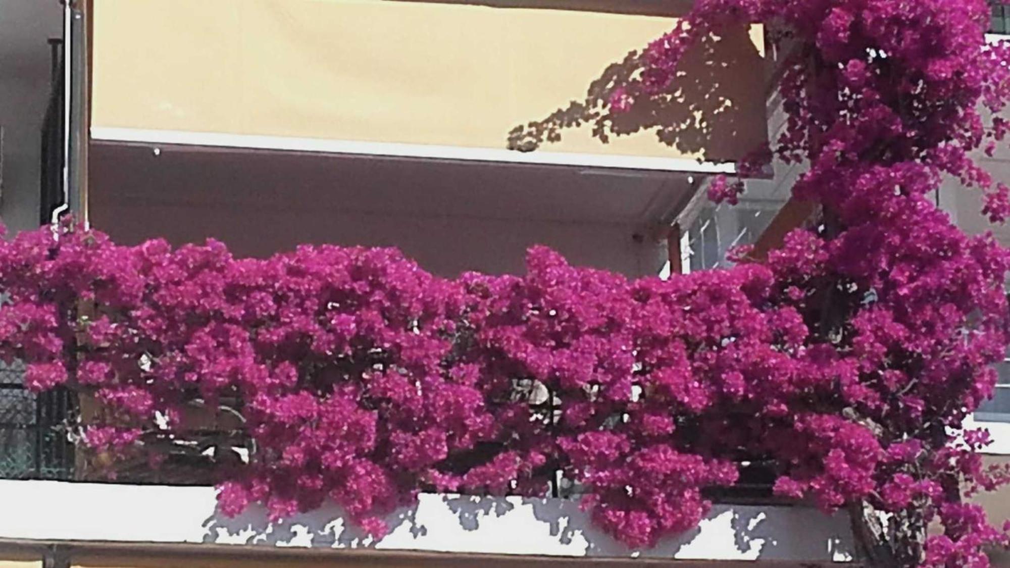 Apartamento La Carihuela A 5 Minutos De La Playavistas Al Mar *