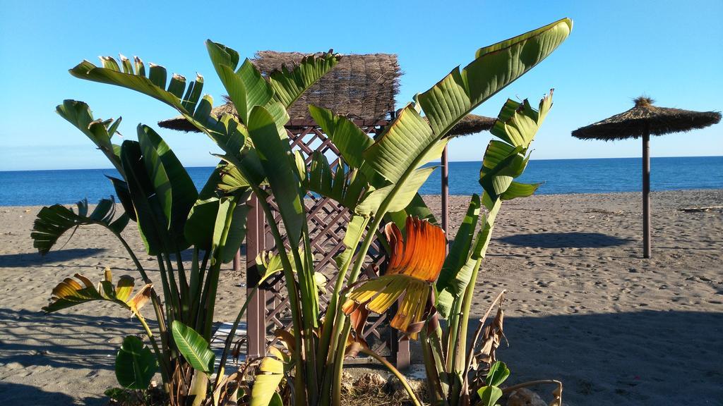 Aloha Paraíso * Torremolinos