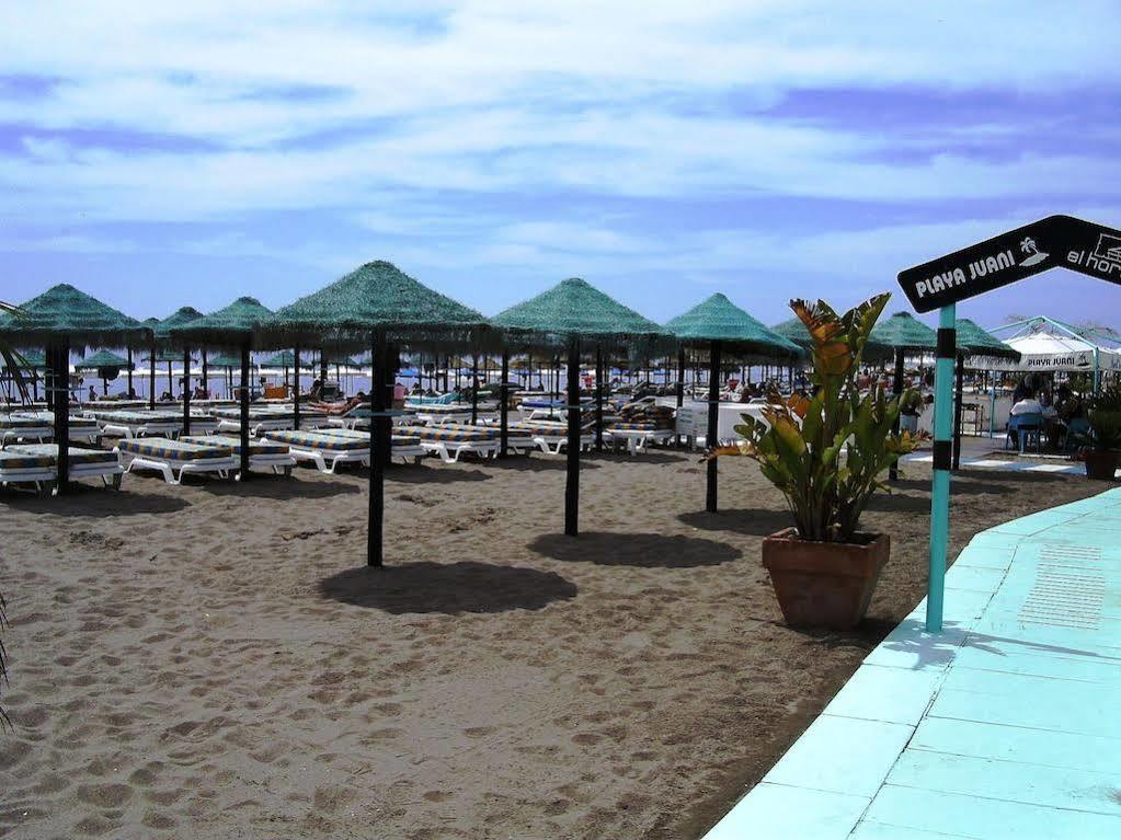 Vicenta Torremolinos