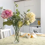 TOP Apartamento Playa Torremolinos