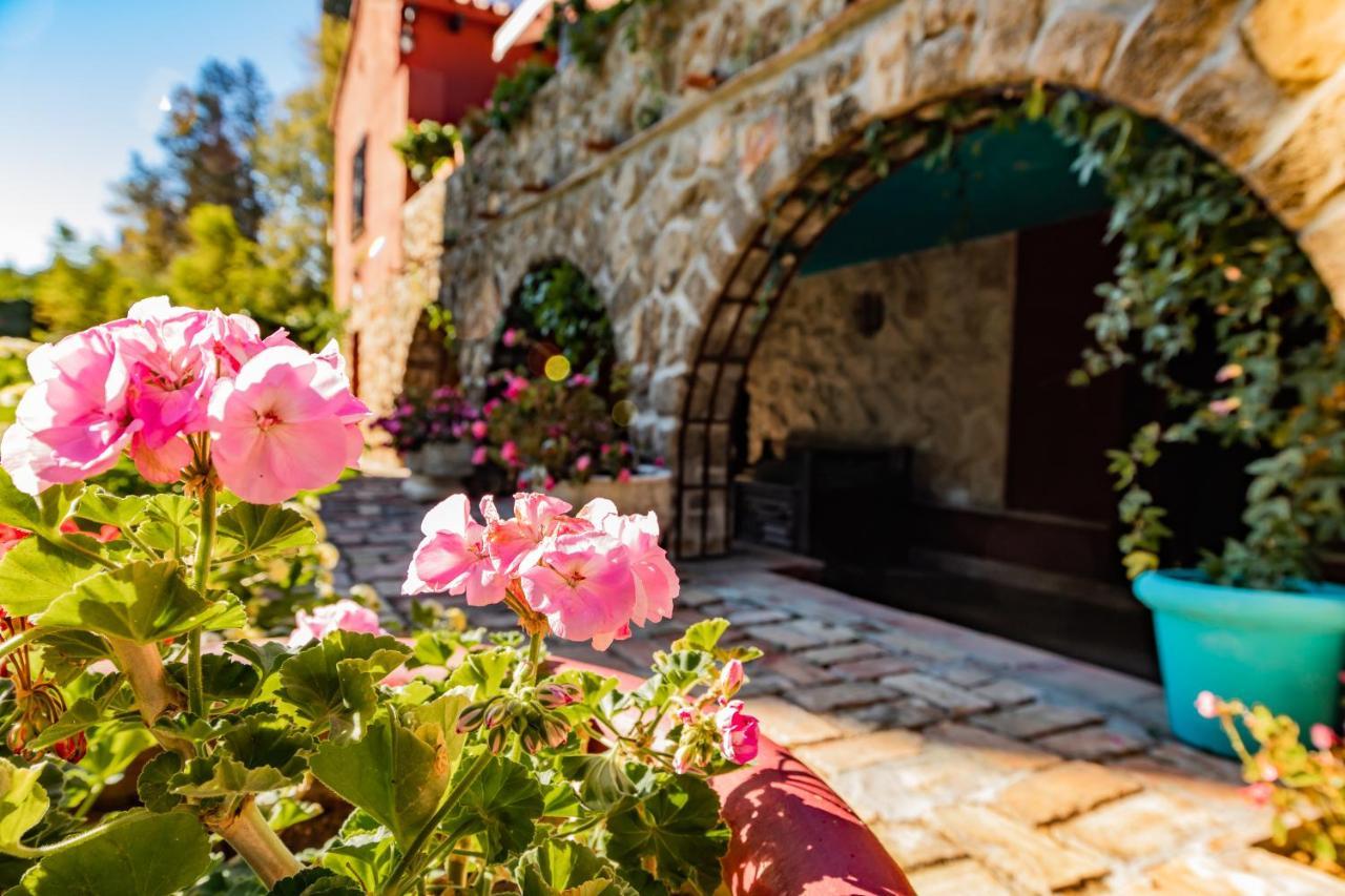 Bed and breakfast Casa Paraíso Boutique 2*