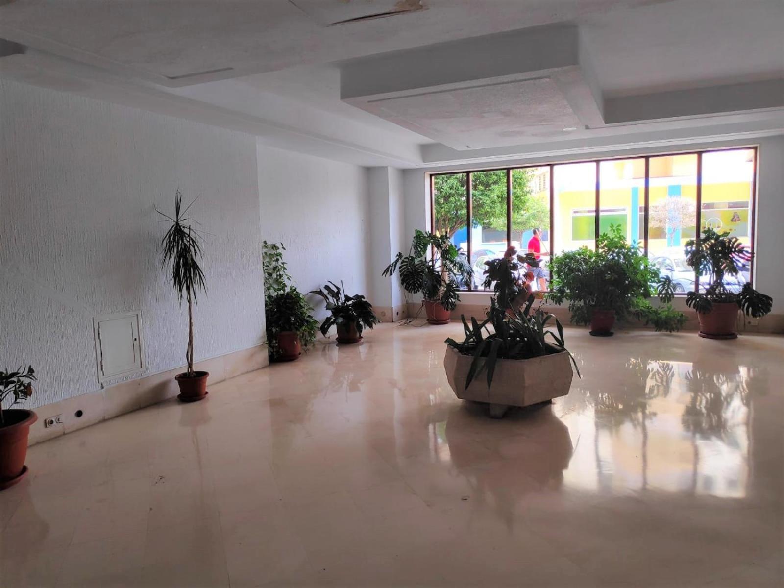 Apartamento Ver855 - Playa Y Centrico, Wifi, Fire Stick, Vistas Al Mar *