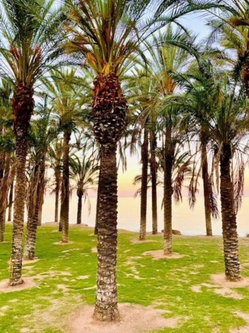Ventana Al Mar Pool And Access With Elevator Apartamento