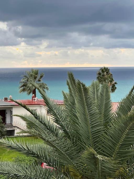 Apartamento Ventana Al Mar Pool And Access With Elevator