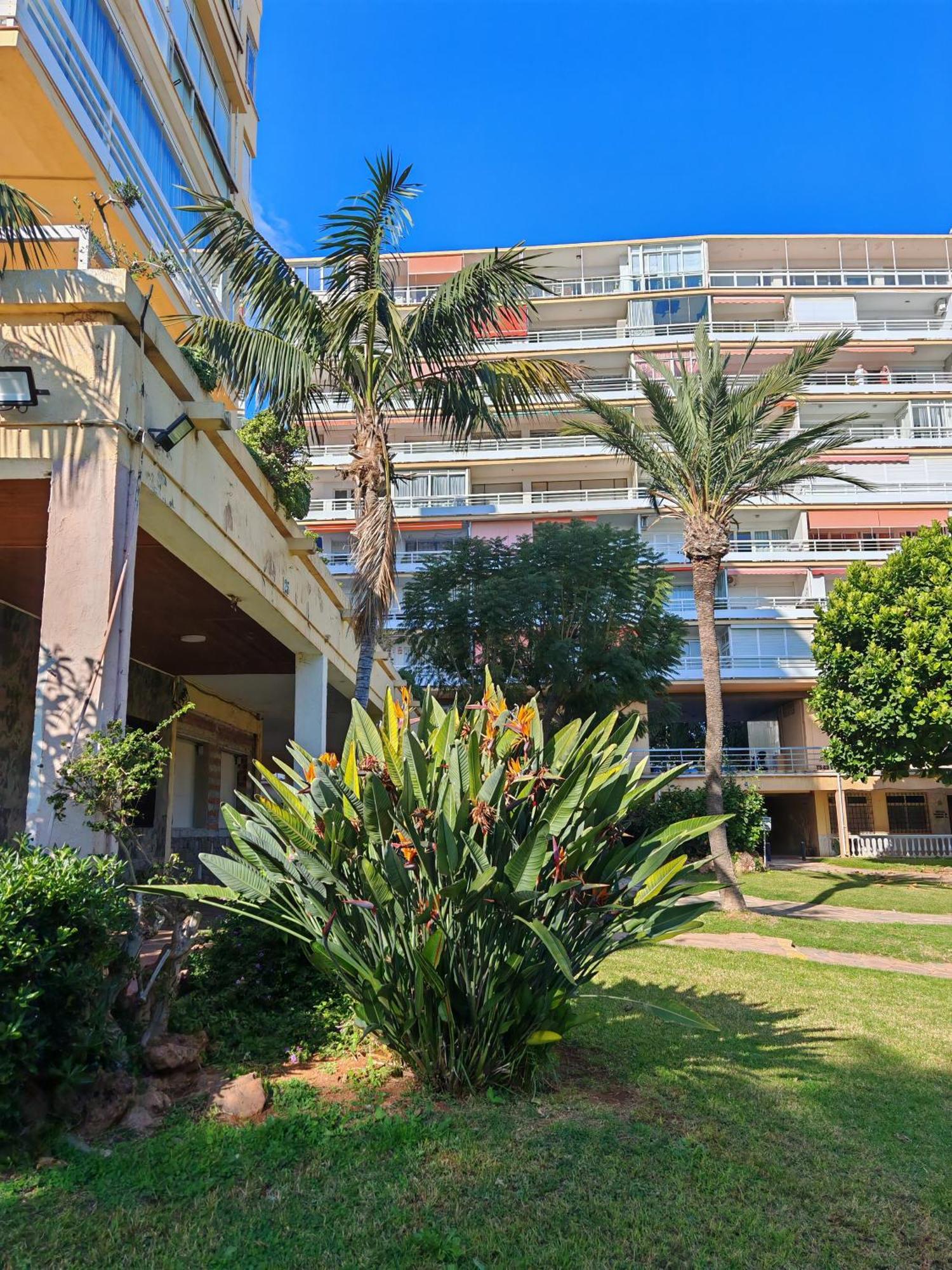 Casa Rosa At Parrot At Carihuela Apartamento Torremolinos
